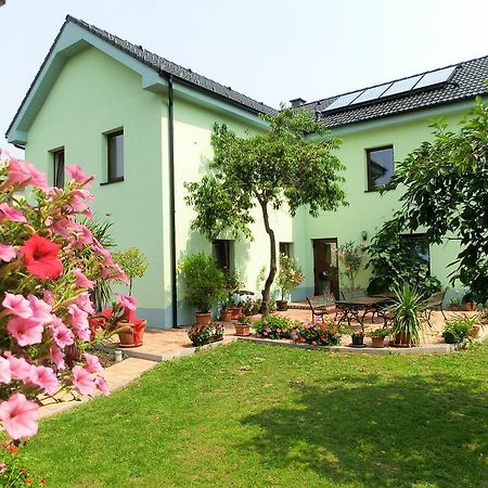 Vila Evicka 索博特卡 外观 照片